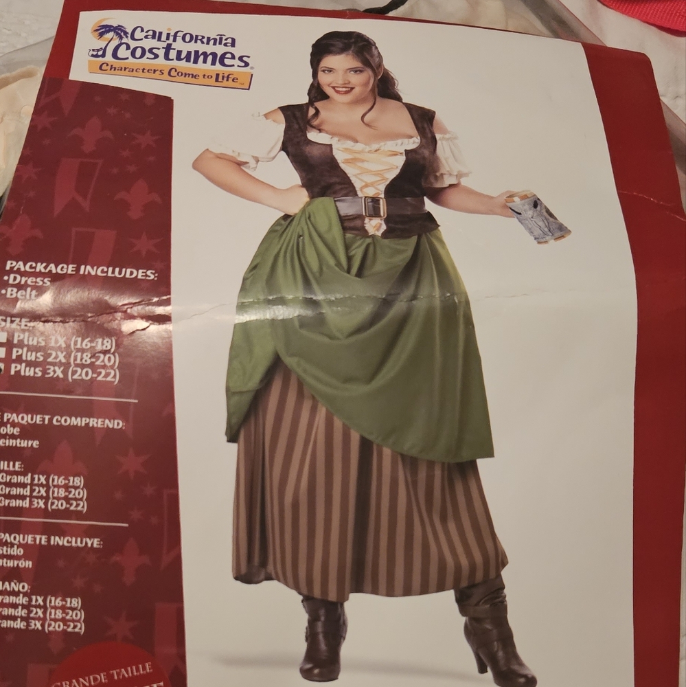Tavern Maiden/Pirate Costume